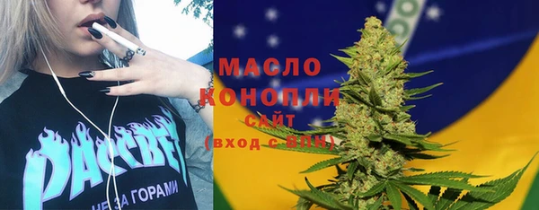 крисы Инта
