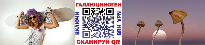 сколько стоит  Щёлково  Галлюциногенные грибы GOLDEN TEACHER 